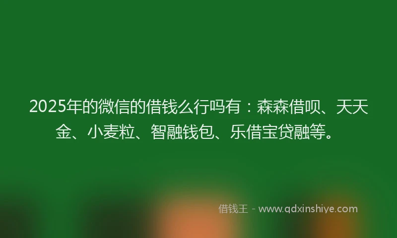2025年的微信的借钱么行吗有：森森借呗、天天金、小麦粒、智融钱包、乐借宝贷融等。