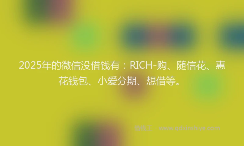 2025年的微信没借钱有：RICH-购、随信花、惠花钱包、小爱分期、想借等。