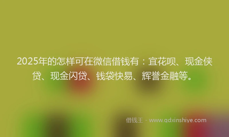 2025年的怎样可在微信借钱有：宜花呗、现金侠贷、现金闪贷、钱袋快易、辉誉金融等。