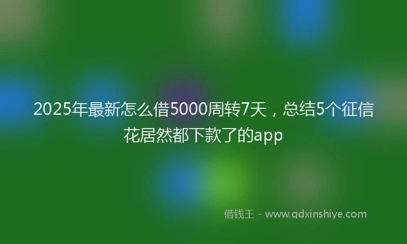 2025年最新怎么借5000周转7天，总结5个征信花居然都下款了的app