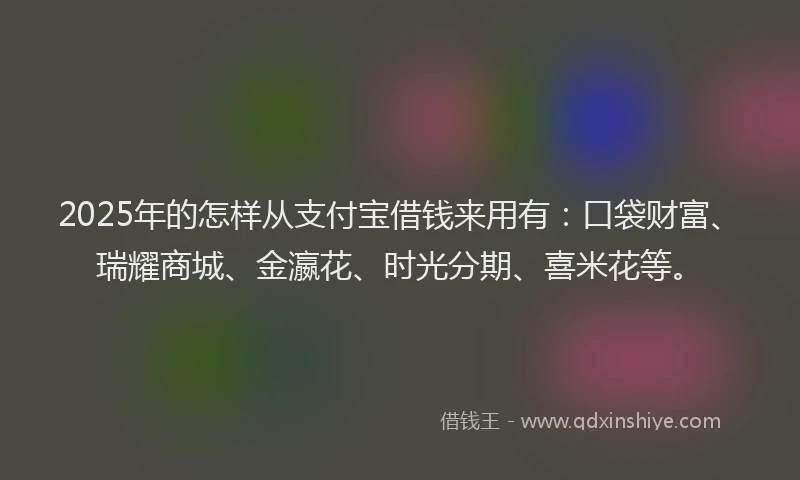 2025年的怎样从支付宝借钱来用有：口袋财富、瑞耀商城、金瀛花、时光分期、喜米花等。