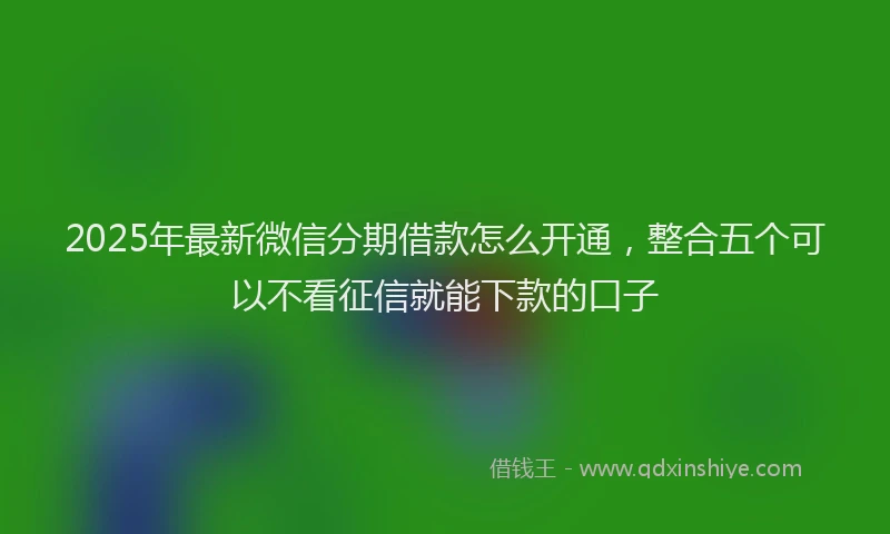 2025年最新微信分期借款怎么开通，整合五个可以不看征信就能下款的口子