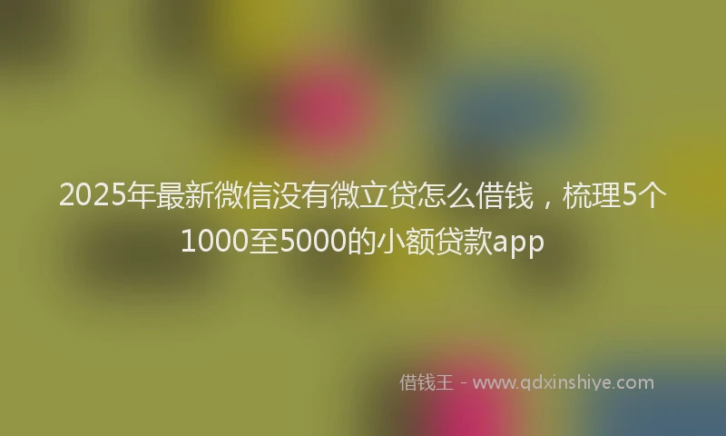 2025年最新微信没有微立贷怎么借钱，梳理5个1000至5000的小额贷款app