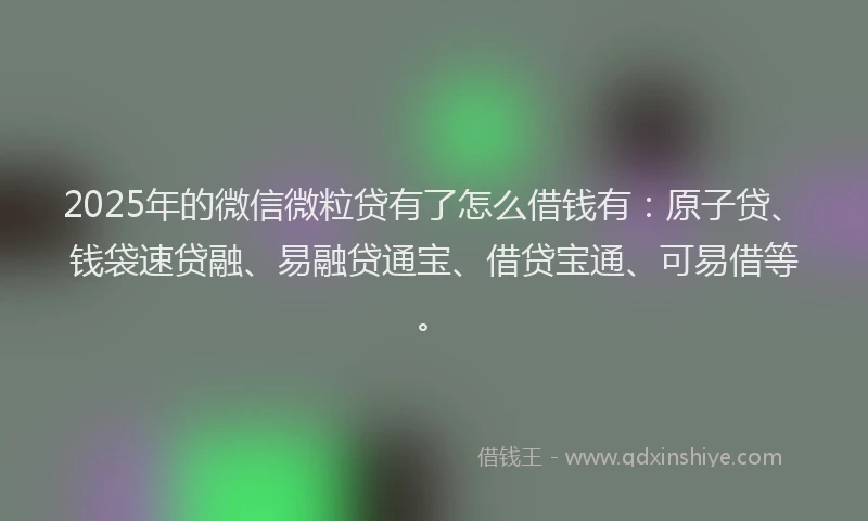 2025年的微信微粒贷有了怎么借钱有：原子贷、钱袋速贷融、易融贷通宝、借贷宝通、可易借等。
