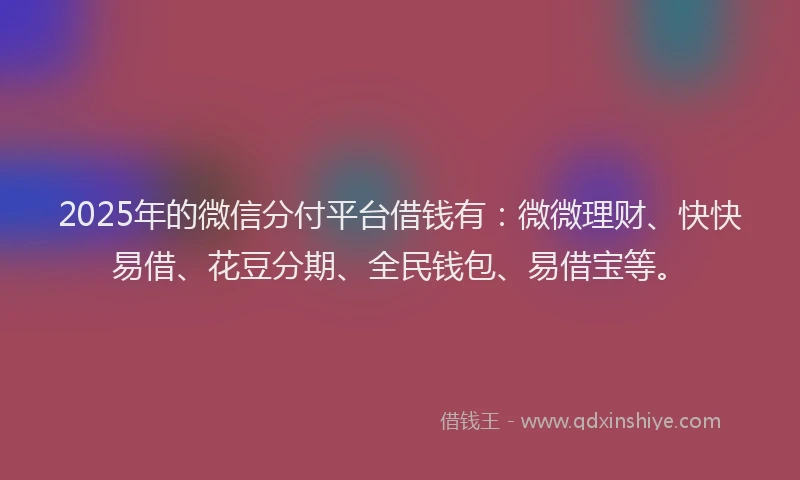 2025年的微信分付平台借钱有：微微理财、快快易借、花豆分期、全民钱包、易借宝等。