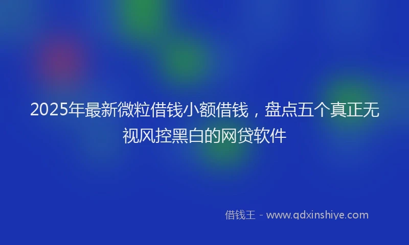 2025年最新微粒借钱小额借钱，盘点五个真正无视风控黑白的网贷软件
