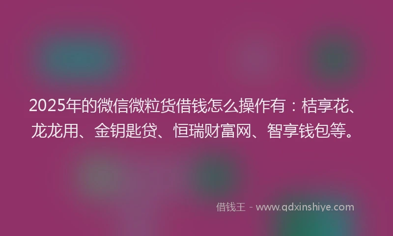 2025年的微信微粒货借钱怎么操作有：桔享花、龙龙用、金钥匙贷、恒瑞财富网、智享钱包等。