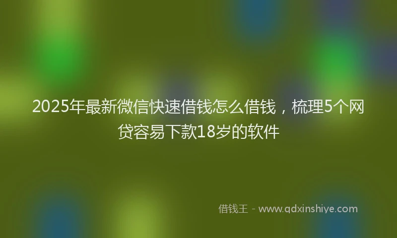 2025年最新微信快速借钱怎么借钱，梳理5个网贷容易下款18岁的软件