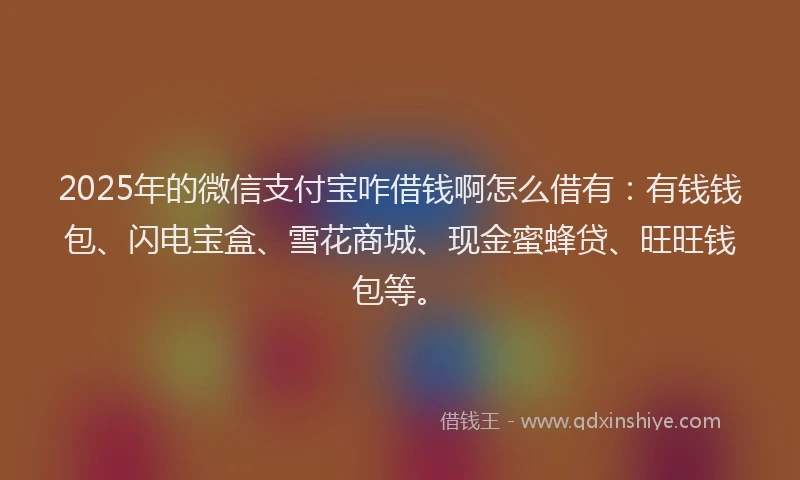 2025年的微信支付宝咋借钱啊怎么借有：有钱钱包、闪电宝盒、雪花商城、现金蜜蜂贷、旺旺钱包等。