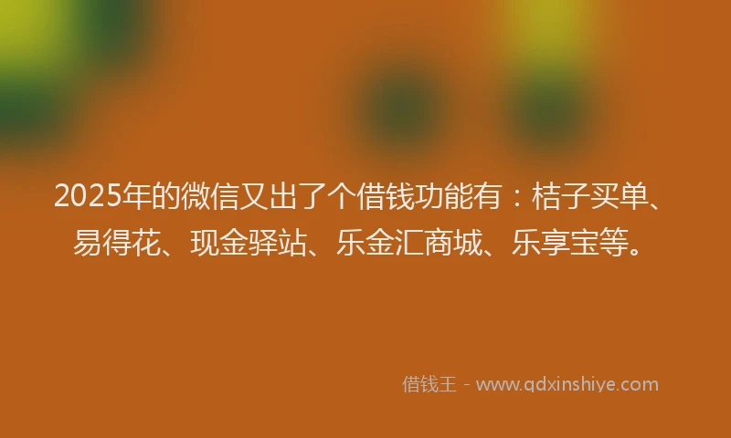 2025年的微信又出了个借钱功能有：桔子买单、易得花、现金驿站、乐金汇商城、乐享宝等。