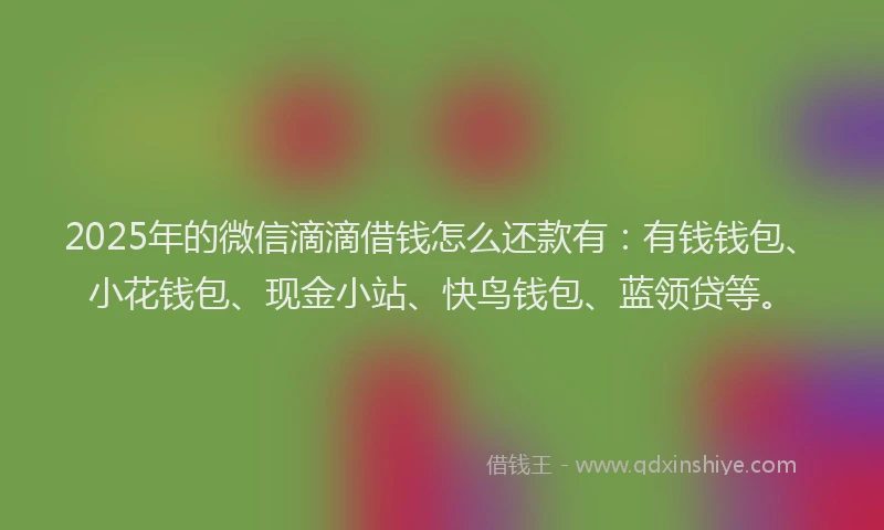 2025年的微信滴滴借钱怎么还款有：有钱钱包、小花钱包、现金小站、快鸟钱包、蓝领贷等。