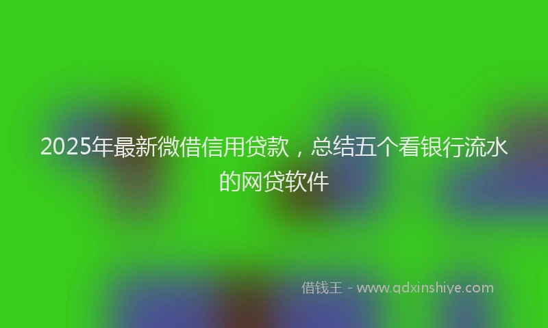 2025年最新微借信用贷款，总结五个看银行流水的网贷软件
