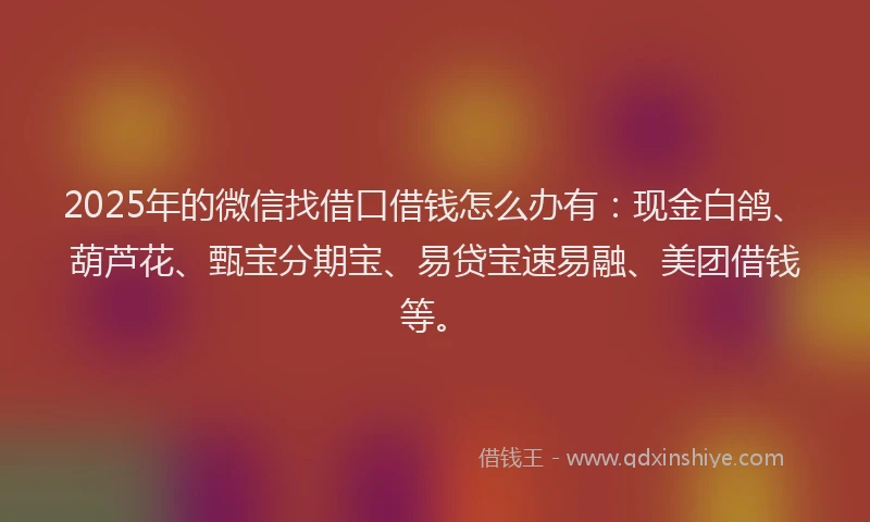 2025年的微信找借口借钱怎么办有：现金白鸽、葫芦花、甄宝分期宝、易贷宝速易融、美团借钱等。