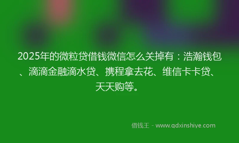 2025年的微粒贷借钱微信怎么关掉有：浩瀚钱包、滴滴金融滴水贷、携程拿去花、维信卡卡贷、天天购等。