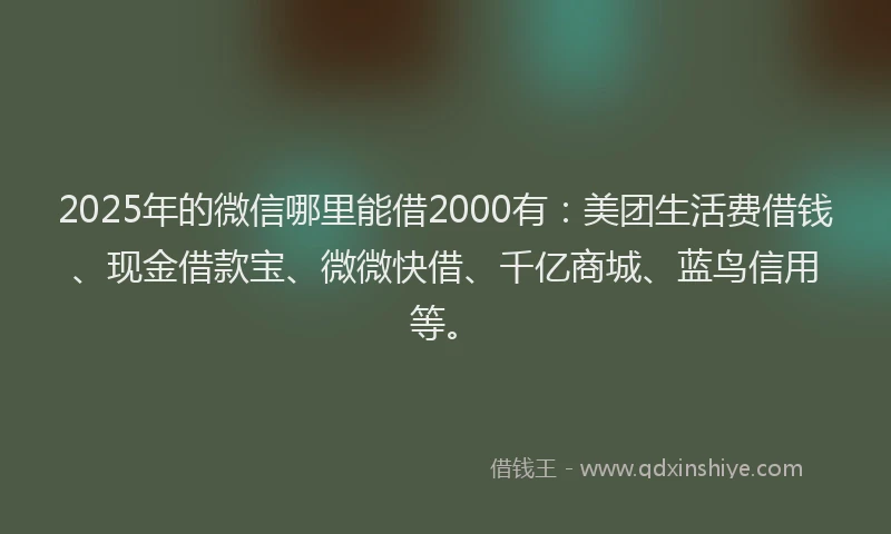 2025年的微信哪里能借2000有：美团生活费借钱、现金借款宝、微微快借、千亿商城、蓝鸟信用等。
