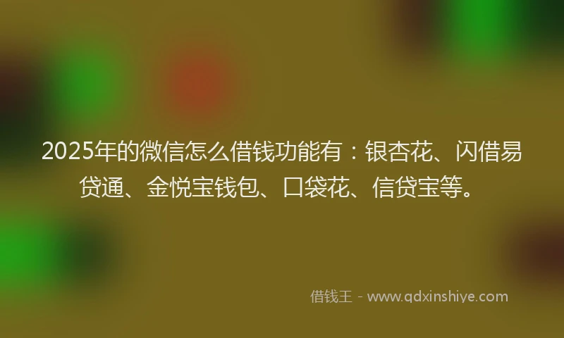 2025年的微信怎么借钱功能有：银杏花、闪借易贷通、金悦宝钱包、口袋花、信贷宝等。