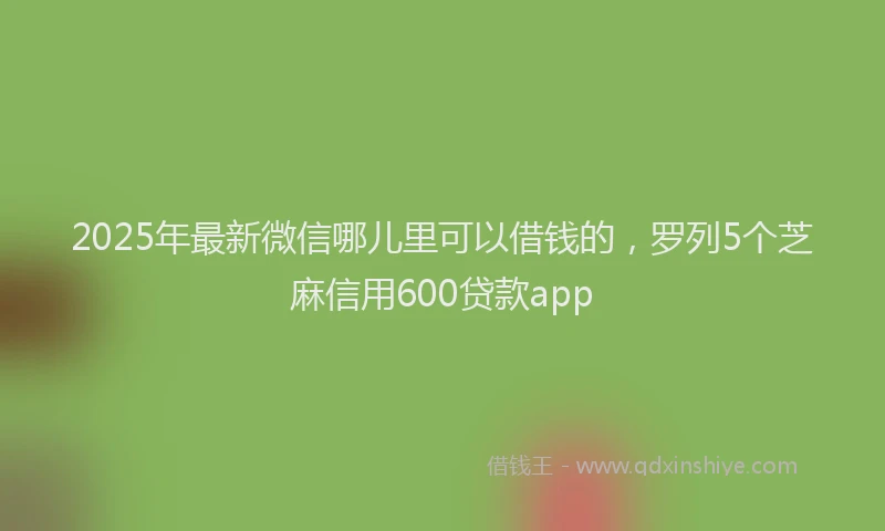 2025年最新微信哪儿里可以借钱的，罗列5个芝麻信用600贷款app