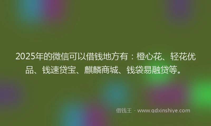2025年的微信可以借钱地方有：橙心花、轻花优品、钱速贷宝、麒麟商城、钱袋易融贷等。