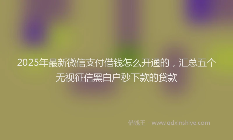 2025年最新微信支付借钱怎么开通的，汇总五个无视征信黑白户秒下款的贷款