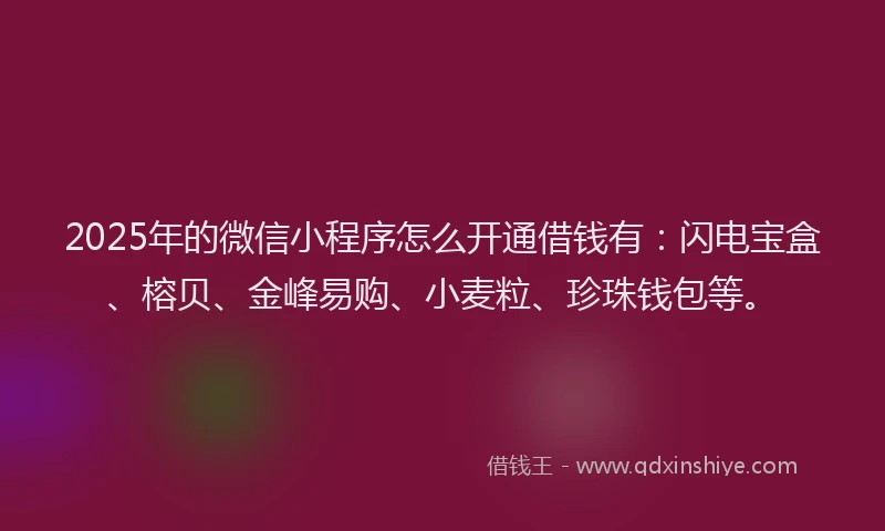 2025年的微信小程序怎么开通借钱有:闪电宝盒、榕贝、金峰易购、小麦粒、珍珠钱包等。