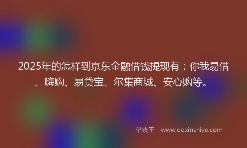 2025年的怎样到京东金融借钱提现有：你我易借、嗨购、易贷宝、尔集商城、安心购等。