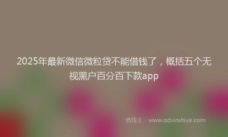 2025年最新微信微粒贷不能借钱了，概括五个无视黑户百分百下款app
