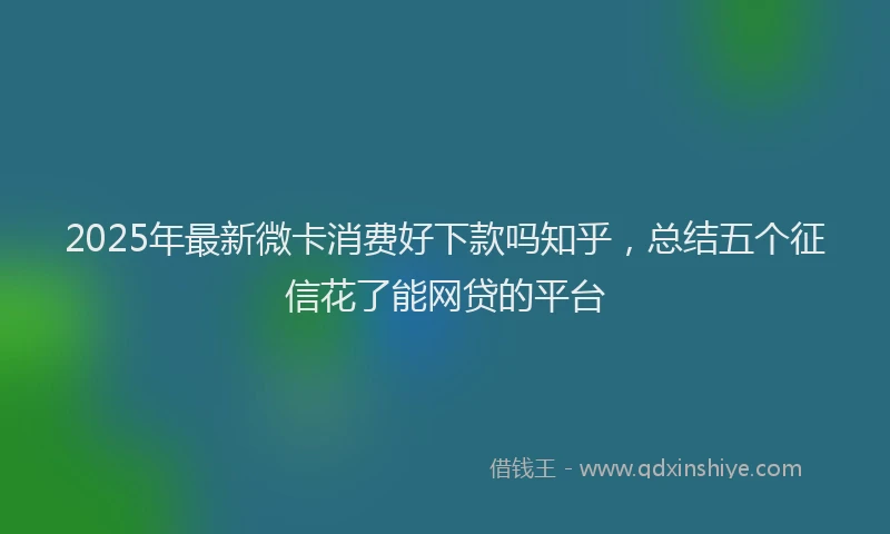 2025年最新微卡消费好下款吗知乎，总结五个征信花了能网贷的平台