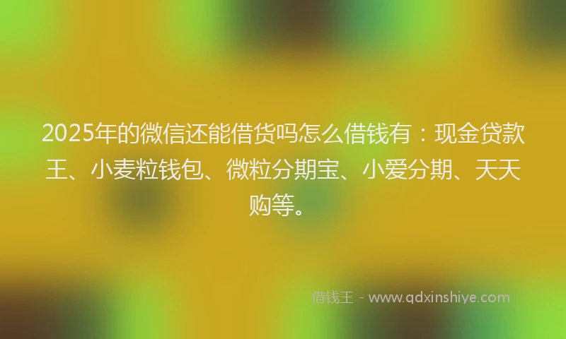 2025年的微信还能借货吗怎么借钱有：现金贷款王、小麦粒钱包、微粒分期宝、小爱分期、天天购等。