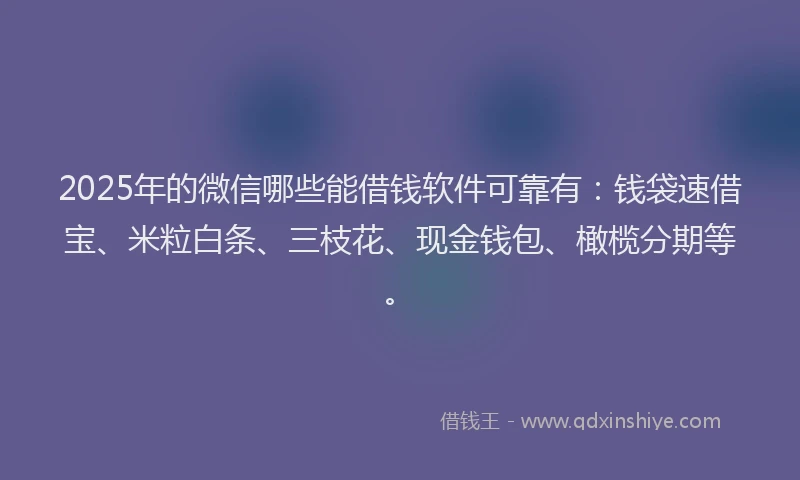 2025年的微信哪些能借钱软件可靠有：钱袋速借宝、米粒白条、三枝花、现金钱包、橄榄分期等。