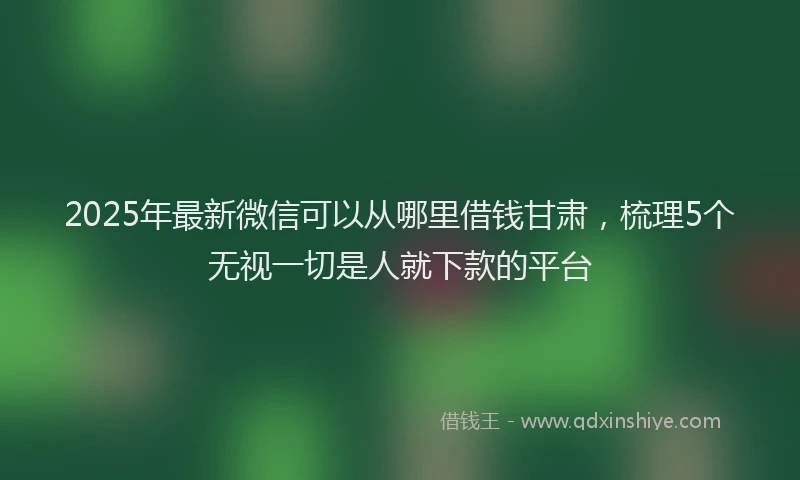 2025年最新微信可以从哪里借钱甘肃，梳理5个无视一切是人就下款的平台