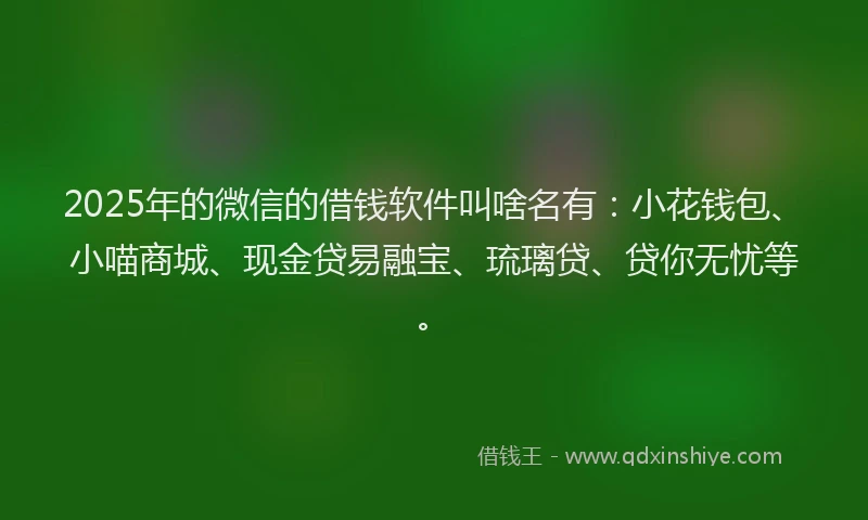 2025年的微信的借钱软件叫啥名有：小花钱包、小喵商城、现金贷易融宝、琉璃贷、贷你无忧等。