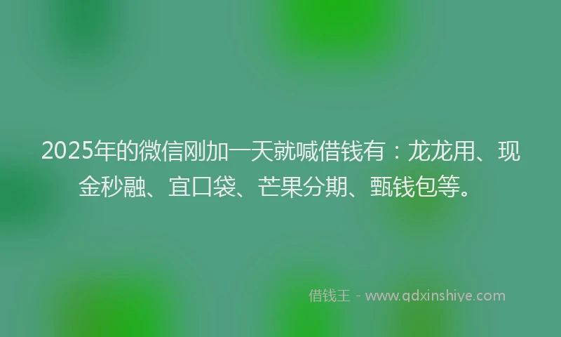 2025年的微信刚加一天就喊借钱有：龙龙用、现金秒融、宜口袋、芒果分期、甄钱包等。