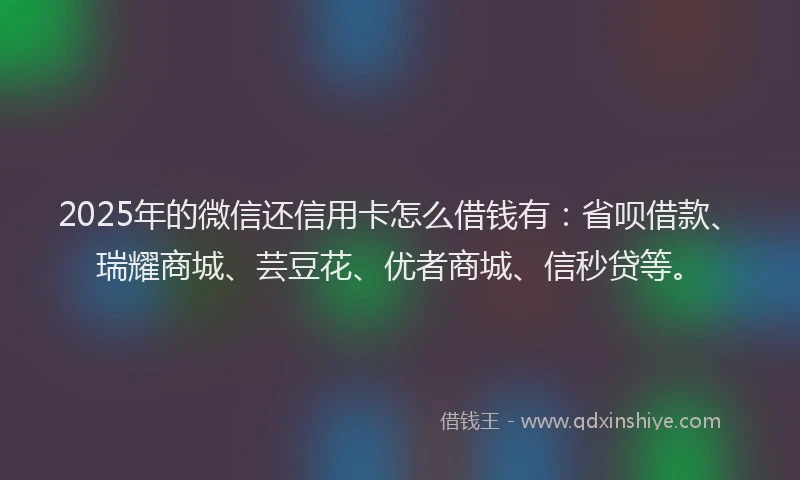 2025年的微信还信用卡怎么借钱有：省呗借款、瑞耀商城、芸豆花、优者商城、信秒贷等。