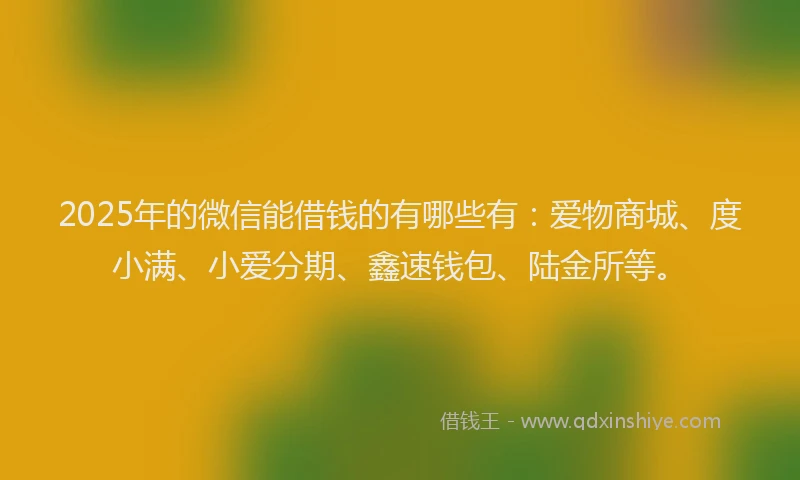 2025年的微信能借钱的有哪些有：爱物商城、度小满、小爱分期、鑫速钱包、陆金所等。