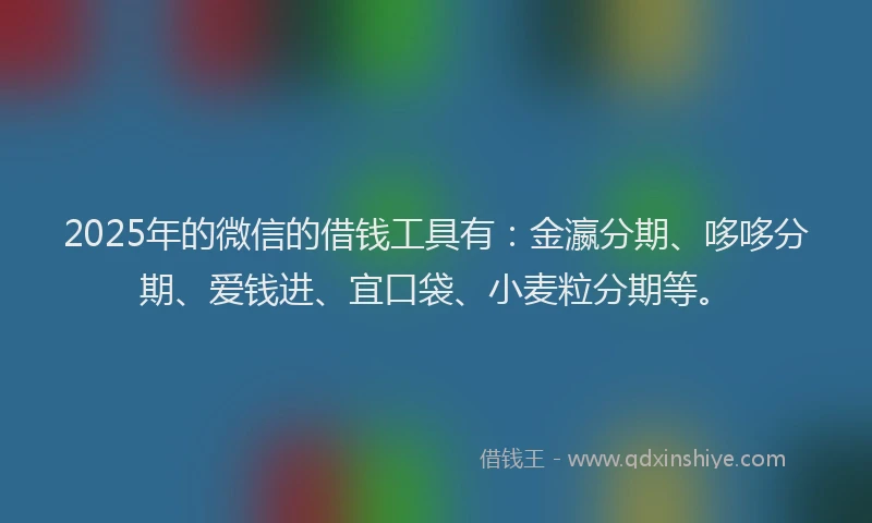 2025年的微信的借钱工具有：金瀛分期、哆哆分期、爱钱进、宜口袋、小麦粒分期等。