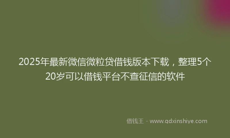 2025年最新微信微粒贷借钱版本下载，整理5个20岁可以借钱平台不查征信的软件