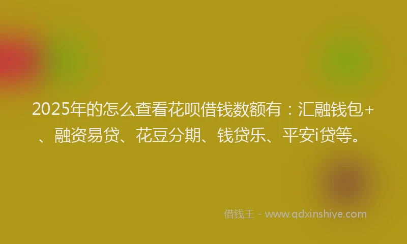 2025年的怎么查看花呗借钱数额有：汇融钱包+、融资易贷、花豆分期、钱贷乐、平安i贷等。