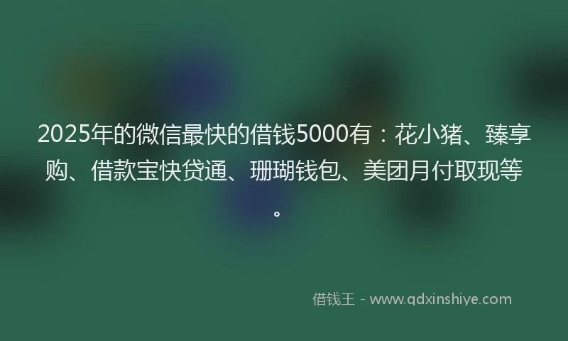 2025年的微信最快的借钱5000有：花小猪、臻享购、借款宝快贷通、珊瑚钱包、美团月付取现等。