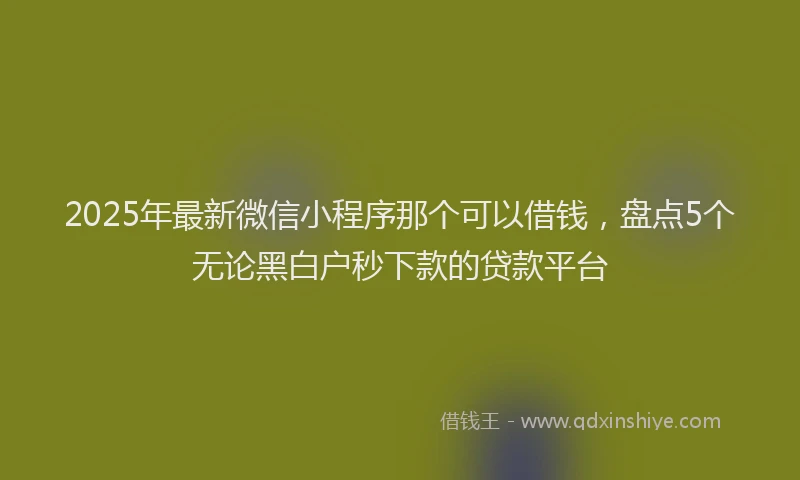 2025年最新微信小程序那个可以借钱，盘点5个无论黑白户秒下款的贷款平台