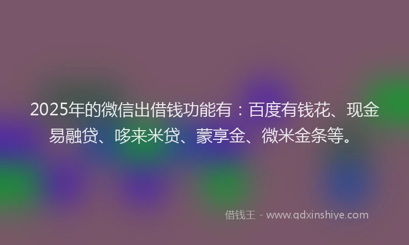 2025年的微信出借钱功能有：百度有钱花、现金易融贷、哆来米贷、蒙享金、微米金条等。