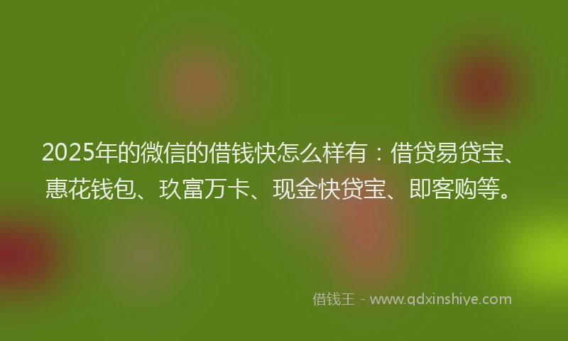2025年的微信的借钱快怎么样有：借贷易贷宝、惠花钱包、玖富万卡、现金快贷宝、即客购等。