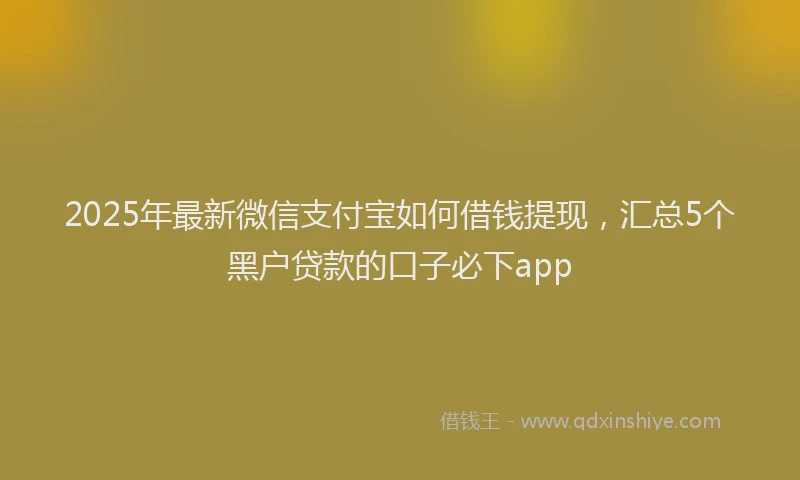 2025年最新微信支付宝如何借钱提现，汇总5个黑户贷款的口子必下app