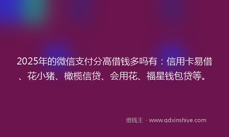 2025年的微信支付分高借钱多吗有：信用卡易借、花小猪、橄榄信贷、会用花、福星钱包贷等。