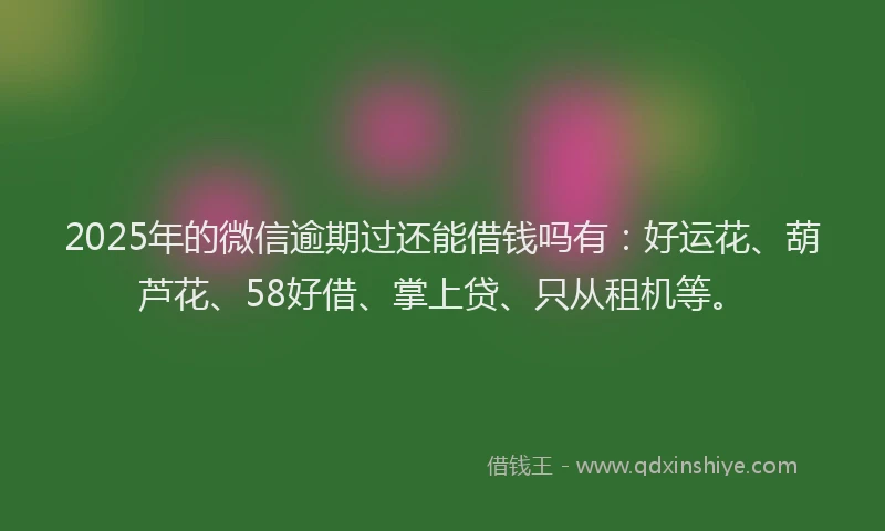2025年的微信逾期过还能借钱吗有：好运花、葫芦花、58好借、掌上贷、只从租机等。