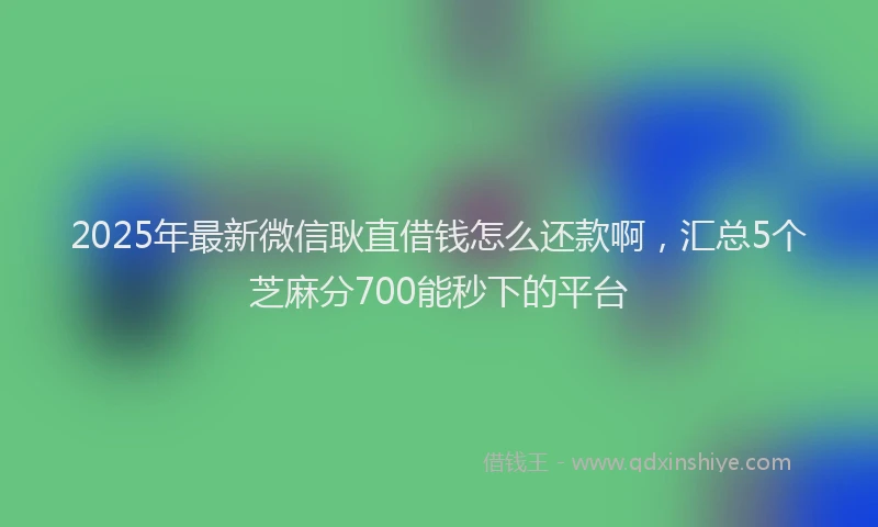 2025年最新微信耿直借钱怎么还款啊，汇总5个芝麻分700能秒下的平台