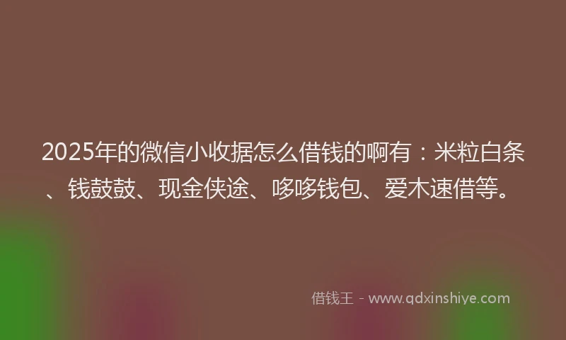 2025年的微信小收据怎么借钱的啊有：米粒白条、钱鼓鼓、现金侠途、哆哆钱包、爱木速借等。