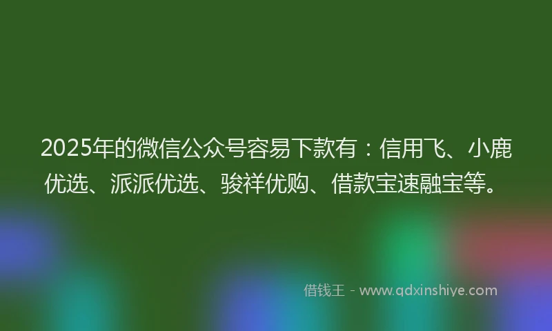 2025年的微信公众号容易下款有：信用飞、小鹿优选、派派优选、骏祥优购、借款宝速融宝等。
