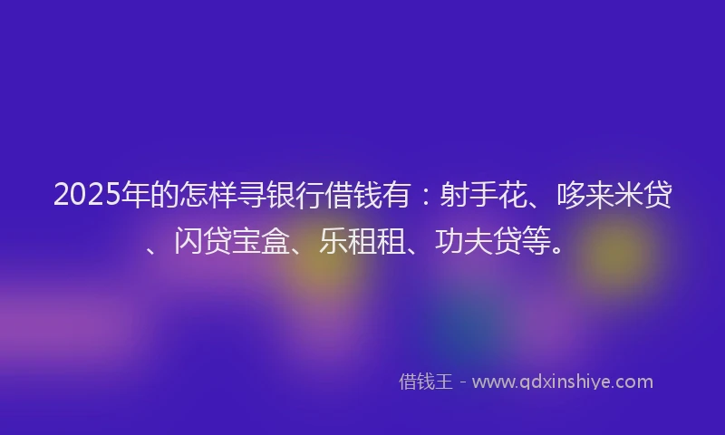 2025年的怎样寻银行借钱有：射手花、哆来米贷、闪贷宝盒、乐租租、功夫贷等。