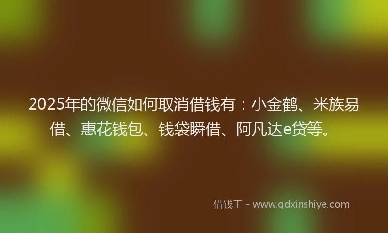 2025年的微信如何取消借钱有：小金鹤、米族易借、惠花钱包、钱袋瞬借、阿凡达e贷等。