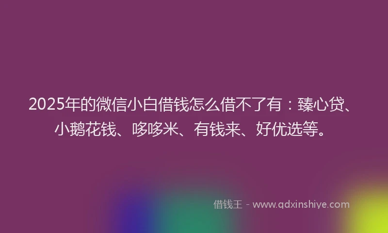 2025年的微信小白借钱怎么借不了有：臻心贷、小鹅花钱、哆哆米、有钱来、好优选等。
